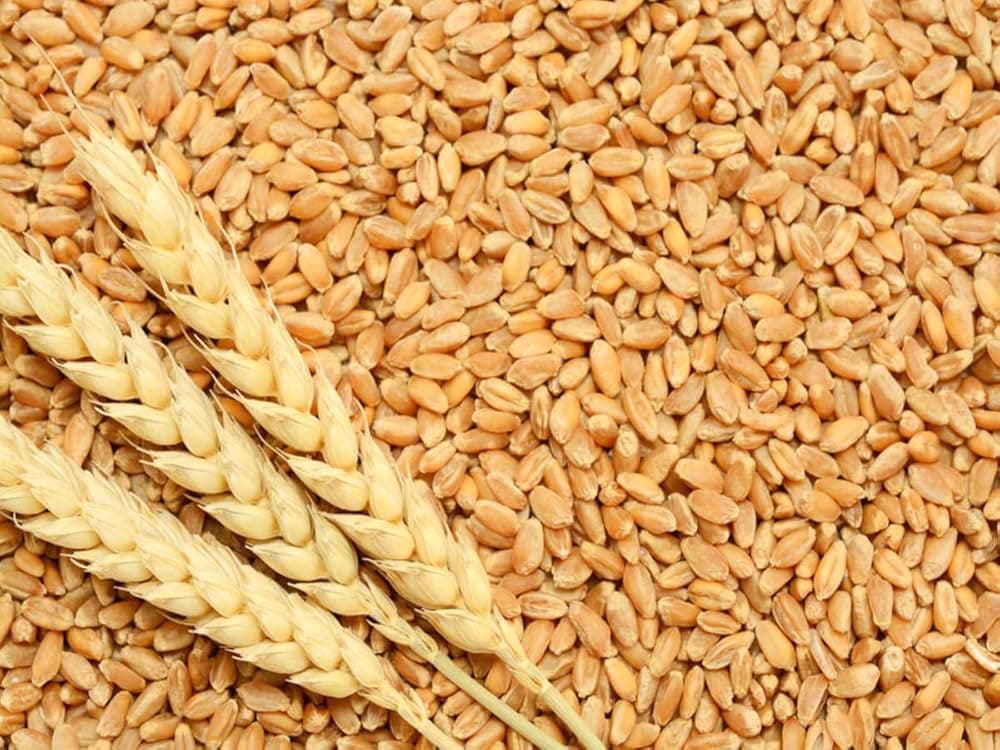 Other Grains